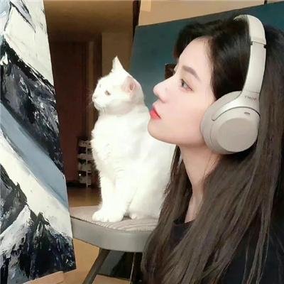 梨花刧